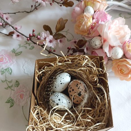decor-pasti-cadou-special – cuib-pasare